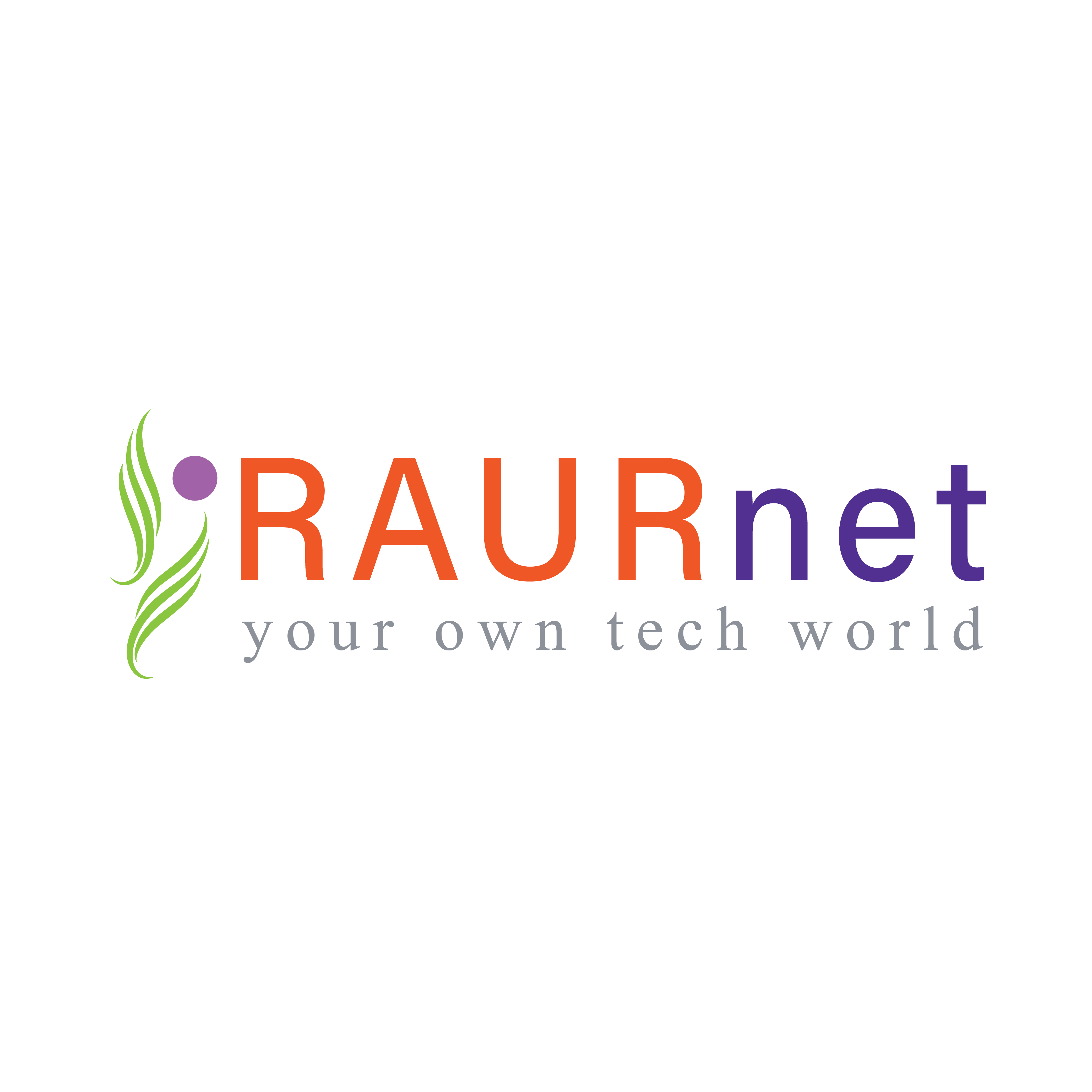 RAURnet Solutions Logo
